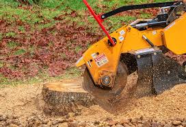 Best Lawn Pest Prevention  in Newton, NC