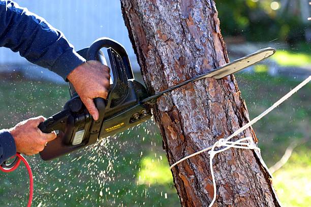Soil Testing and Treatment in Newton, NC